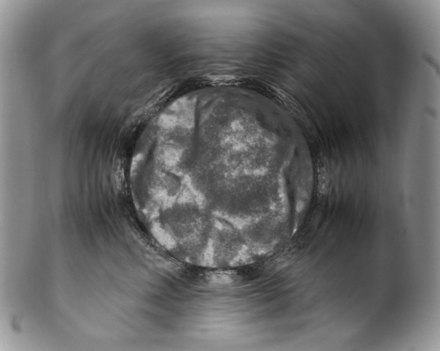 X0000099570618200806131258