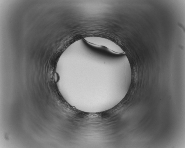 X0000099570619200806131258