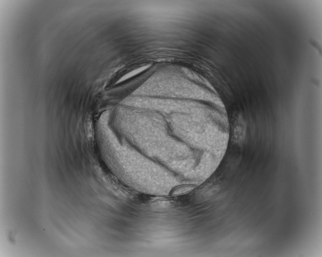 X0000099570620200806131258