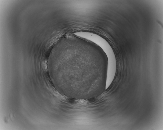 X0000099570621200806131258