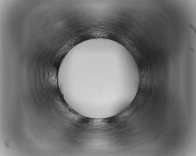 X0000099570622200806131258