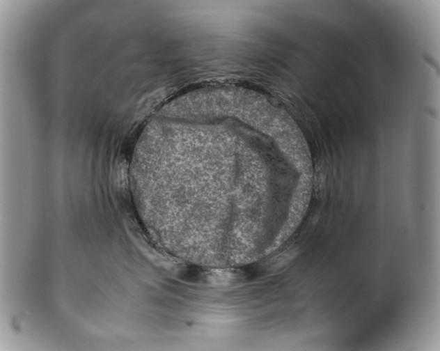 X0000099570623200806131258