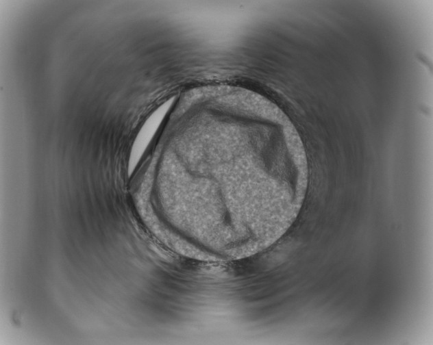 X0000099570624200806131258