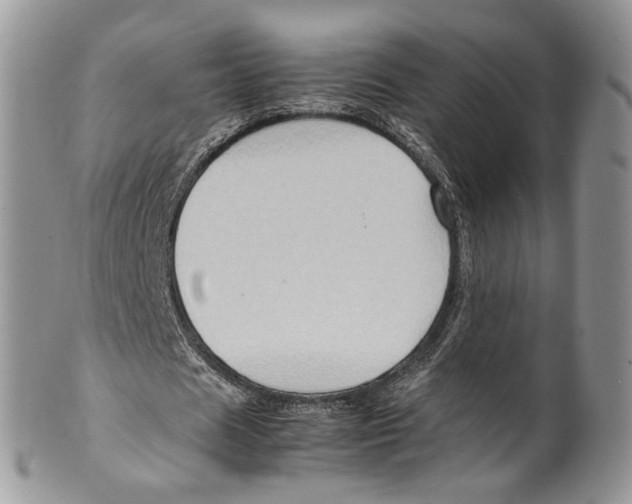 X0000099570625200806131257