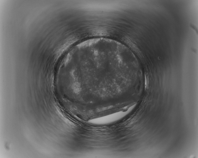 X0000099570627200806131257