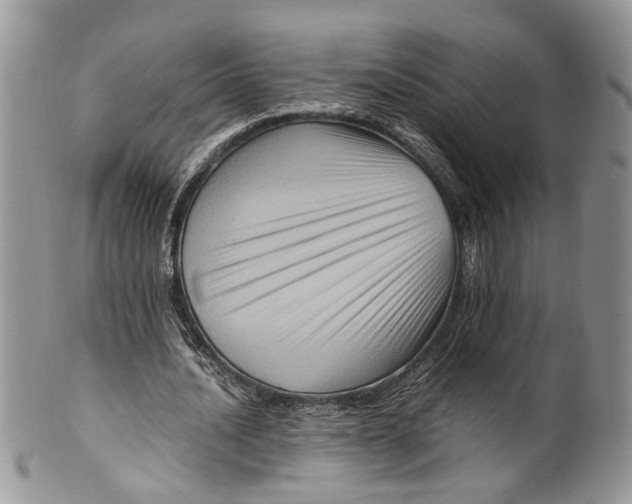 X0000099570628200806131257