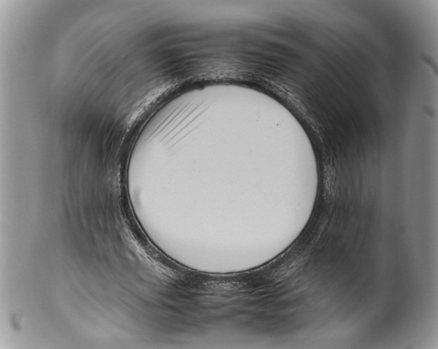 X0000099570629200806131257