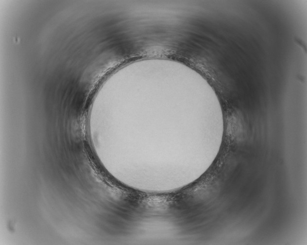 X0000099570632200806131257