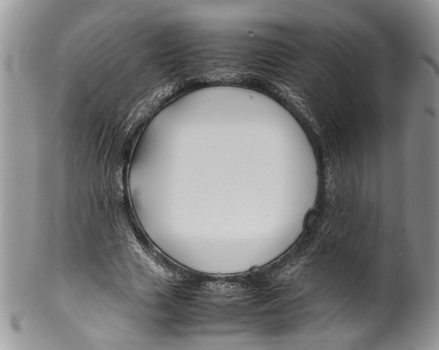 X0000099570633200806131257