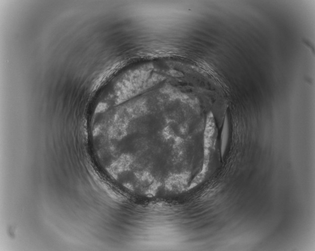 X0000099570634200806131257