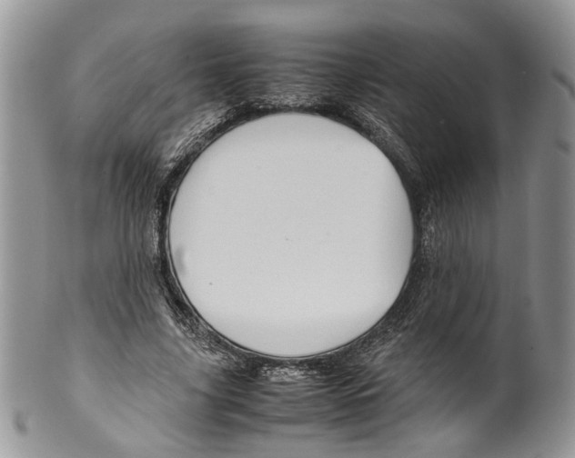 X0000099570635200806131257