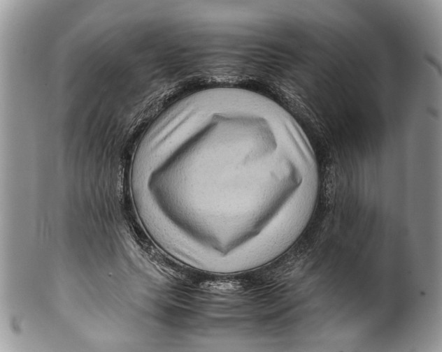 X0000099570639200806131257