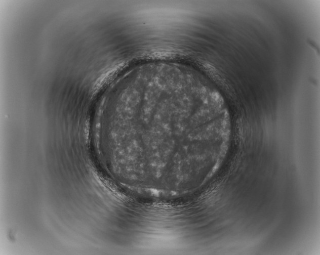X0000099570640200806131257