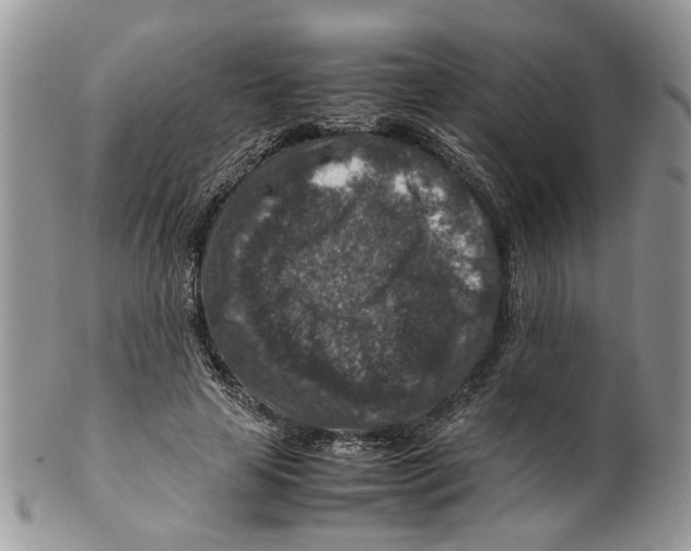 X0000099570641200806131257
