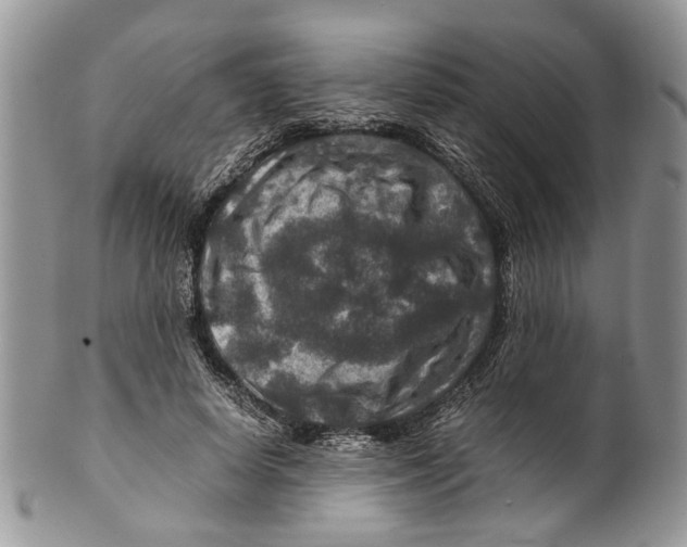 X0000099570642200806131257
