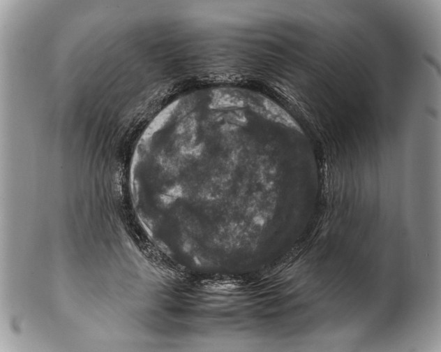 X0000099570643200806131257