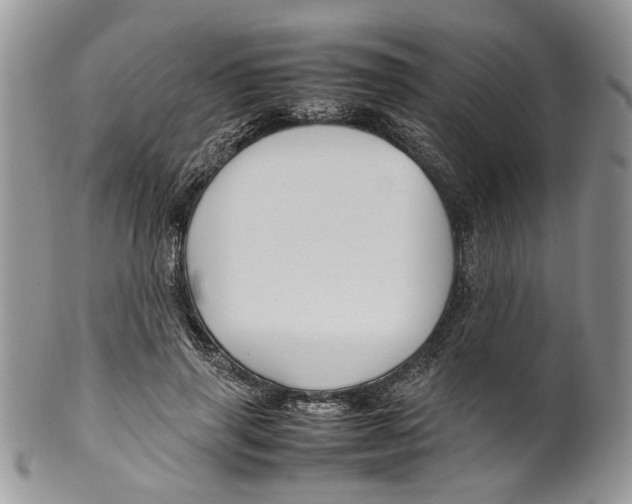 X0000099570645200806131257