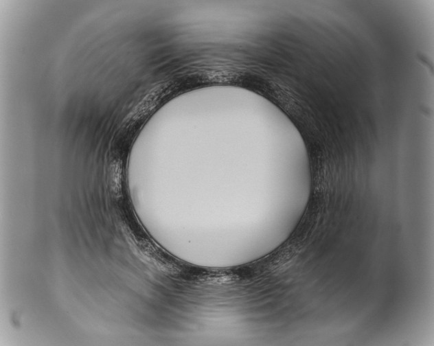 X0000099570646200806131257