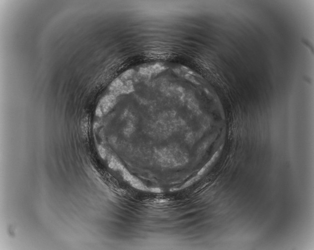 X0000099570647200806131257