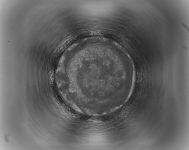 X0000099570648200806131257