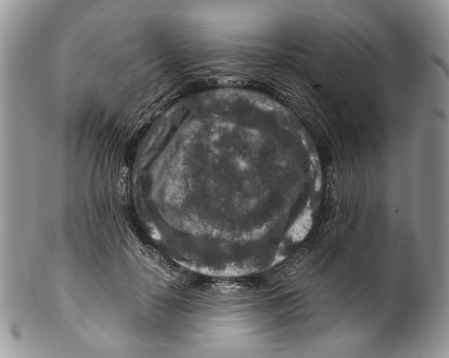 X0000099570650200806131257