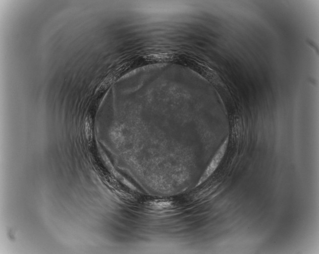 X0000099570651200806131257