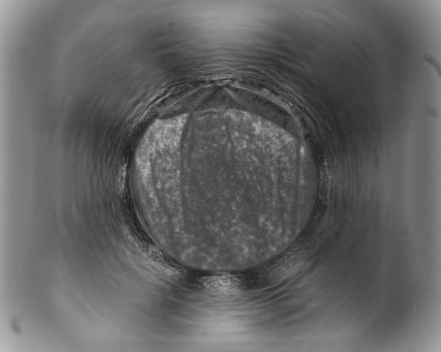 X0000099570652200806131257
