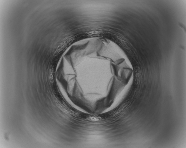 X0000099570654200806131257