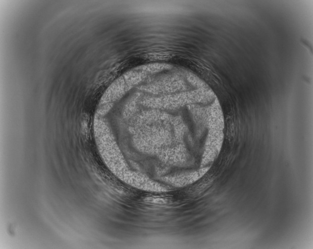 X0000099570655200806131257