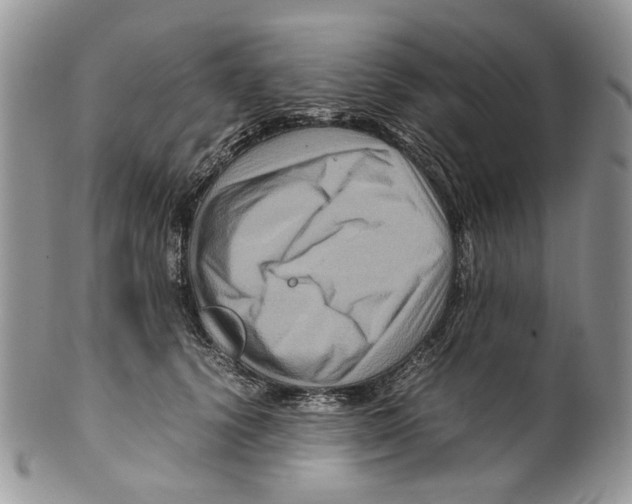 X0000099570656200806131257