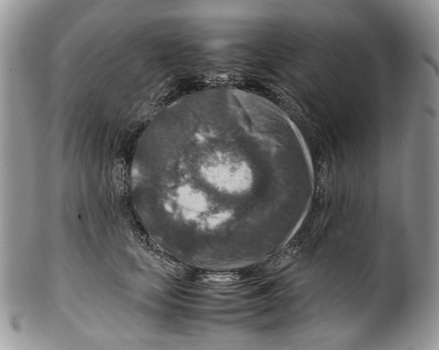 X0000099570659200806131257