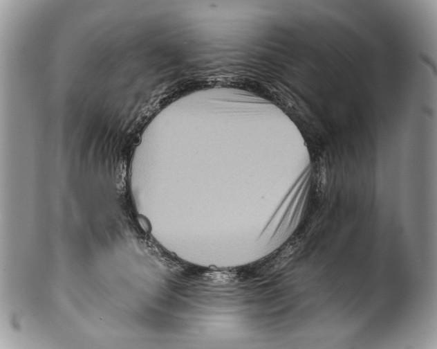X0000099570660200806131257
