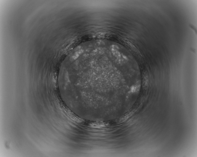 X0000099570661200806131257