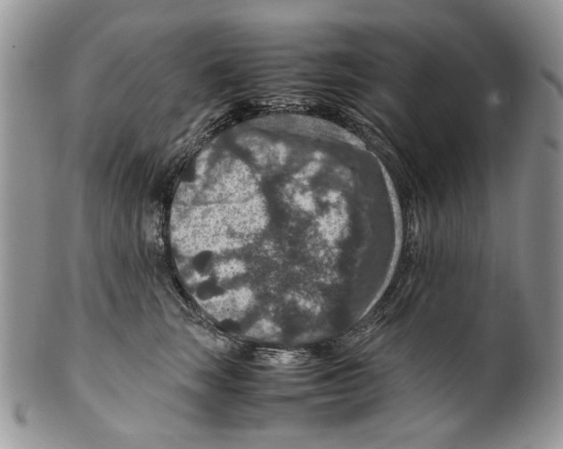 X0000099570663200806131257