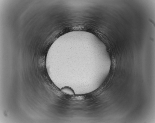 X0000099570665200806131257