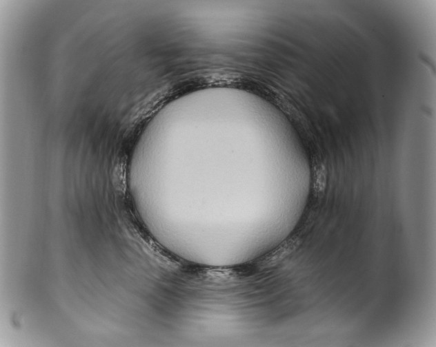 X0000099570666200806131257