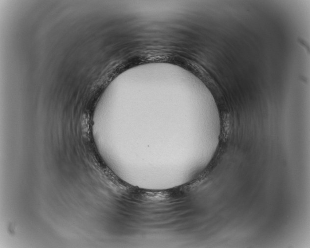 X0000099570667200806131257