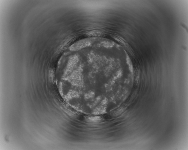 X0000099570669200806131258