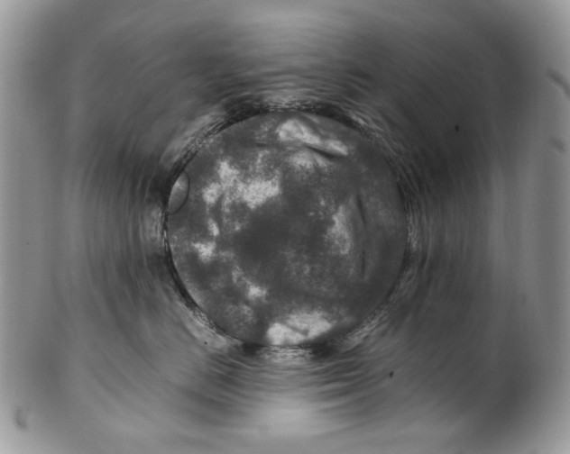 X0000099570670200806131258