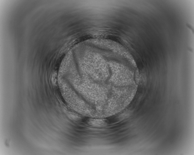 X0000099570671200806131258