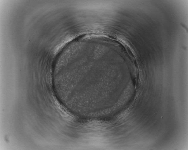 X0000099570677200806131257
