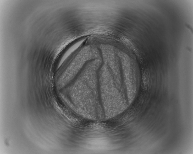 X0000099570680200806131257