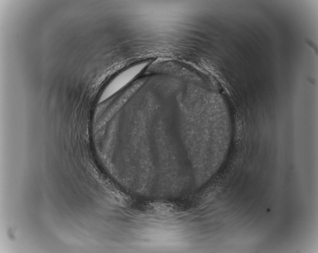 X0000099570681200806131257