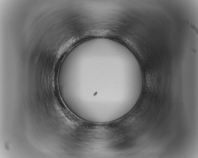 X0000099570682200806131257