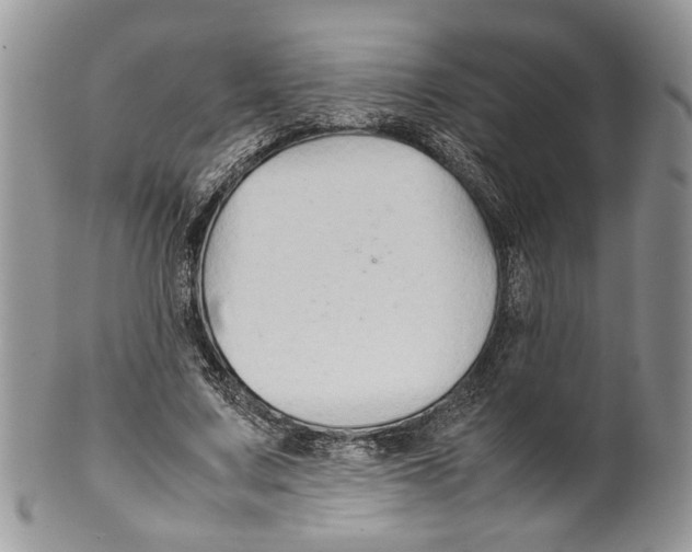X0000099570683200806131257