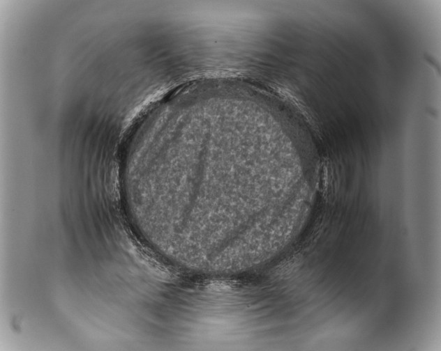 X0000099570684200806131257
