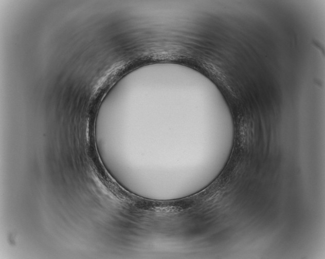 X0000099570686200806131257