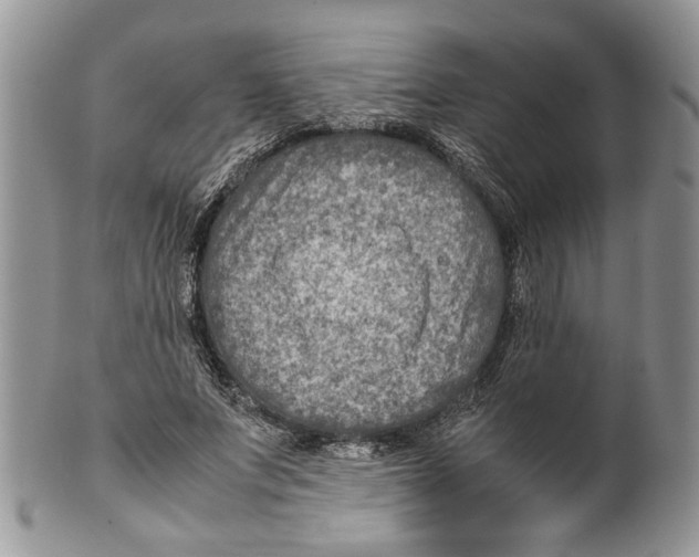 X0000099570687200806131257