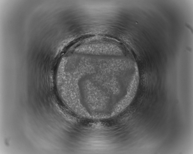 X0000099570688200806131257