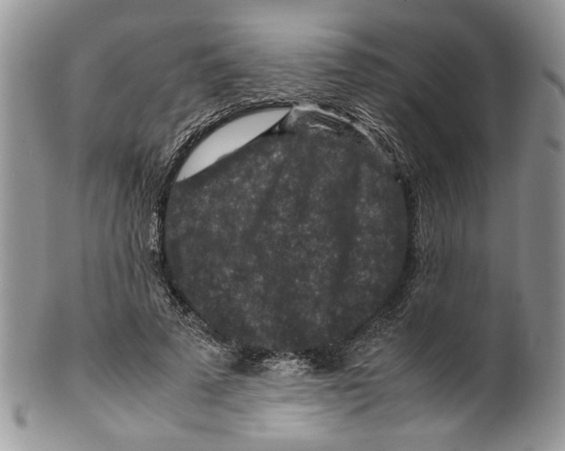 X0000099570689200806131257